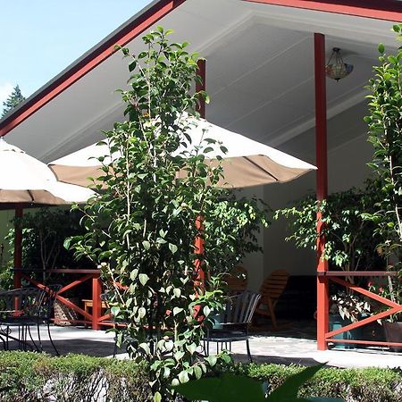 Cielito Sur Bed & Breakfast Inn Серро-Пунта Екстер'єр фото