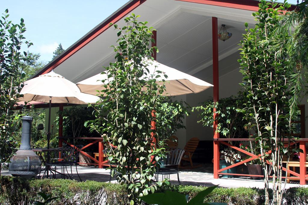 Cielito Sur Bed & Breakfast Inn Серро-Пунта Екстер'єр фото